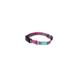 collier chien