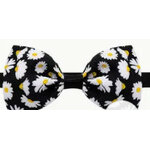 noeud de papillon4