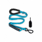laisse-anti-traction-bleu