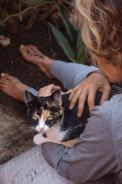 Photos gratuites de affection, amérique du nord, amitié