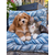 coussin4