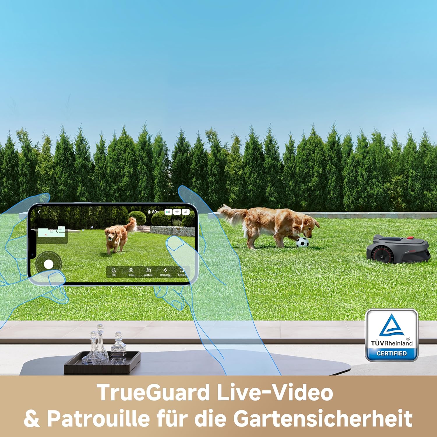 911PDy+B1BL._AC_SL1500_