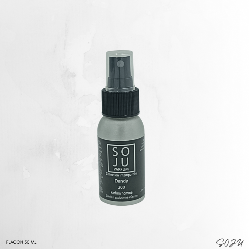dandy-n200 (1)