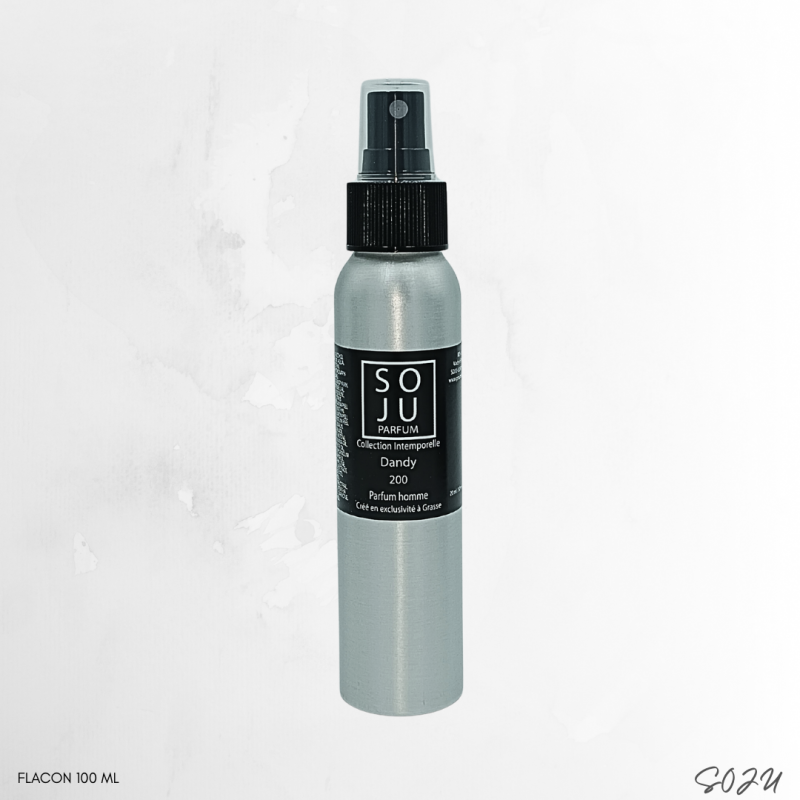 dandy-n200 (2)