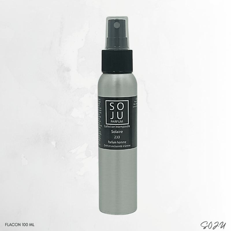 solaire-n233 (1)