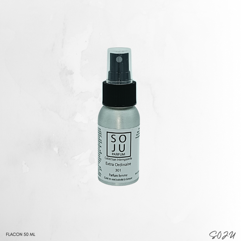 extra-ordinaire-n301 (2)