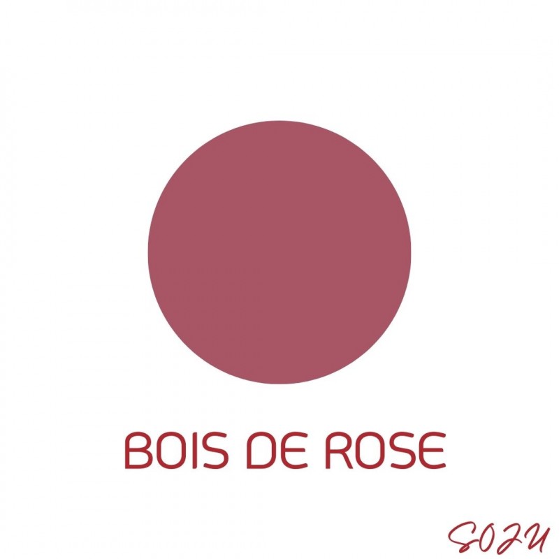rouges-a-levres-liquide-waterproof BOIS DE ROSE