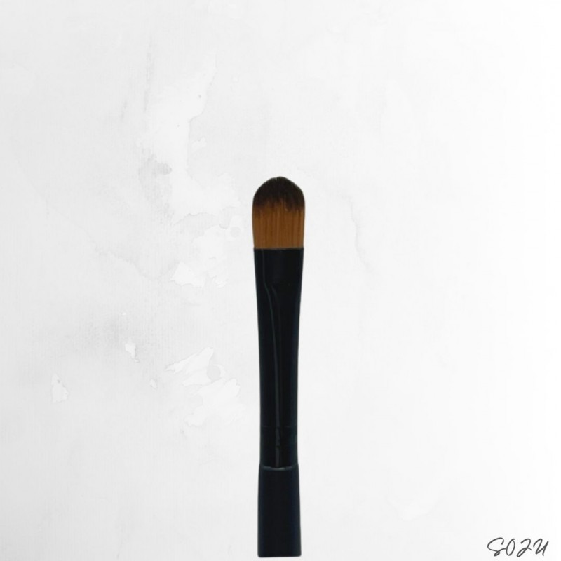 pinceau-plat-yeux (1)