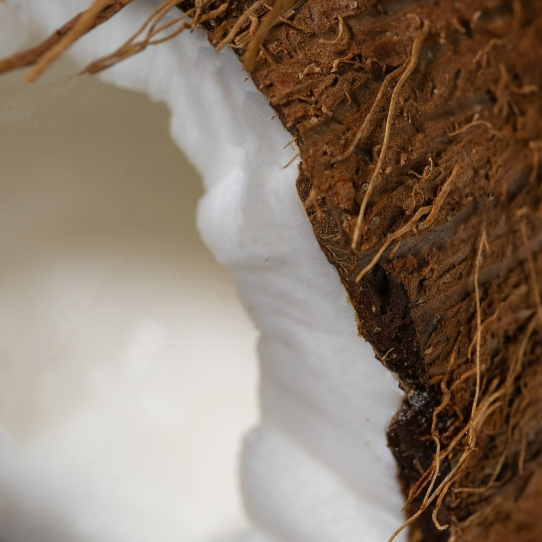 Vue détaillée de la coquille de noix de coco fraîche avec de la chair blanche, mettant en évidence la texture