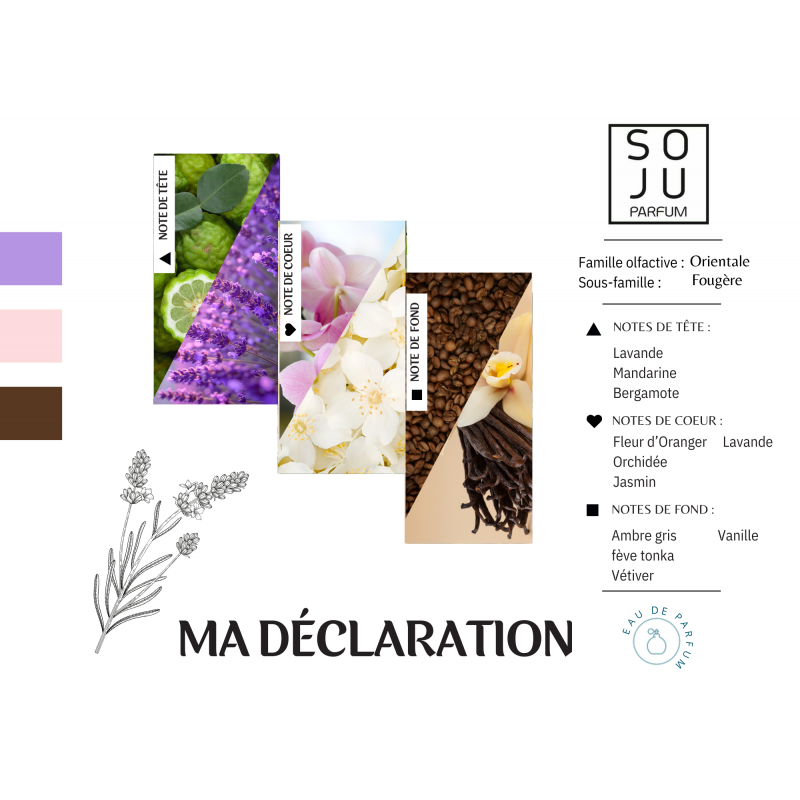 ma-declaration-n133 (1)
