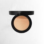 highlighter