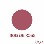 rouges-a-levres-liquide-waterproof BOIS DE ROSE