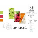 conte-de-fee-n111 (1)