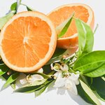 Des moitiés dorange brillante et des fleurs sur fond blanc, symbole de fraîcheur