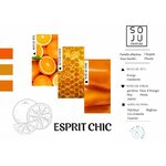 esprit-chic-n125 (1)