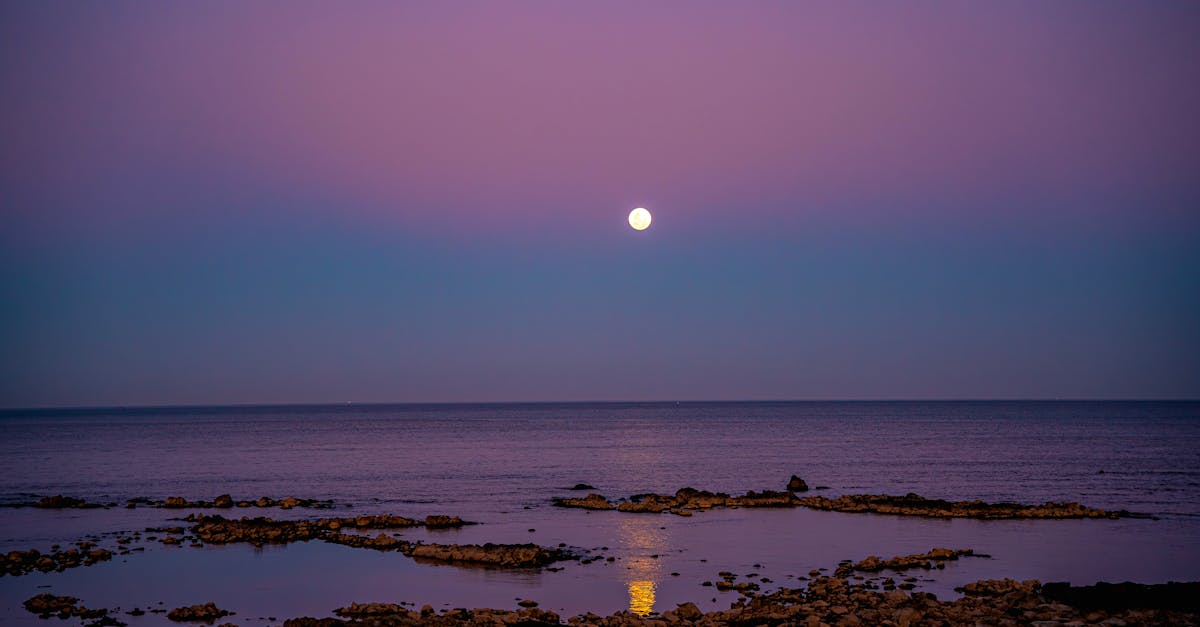 stunning view of a moonlit coastline in uruguay with calm waters and a serene atmosphere at dusk