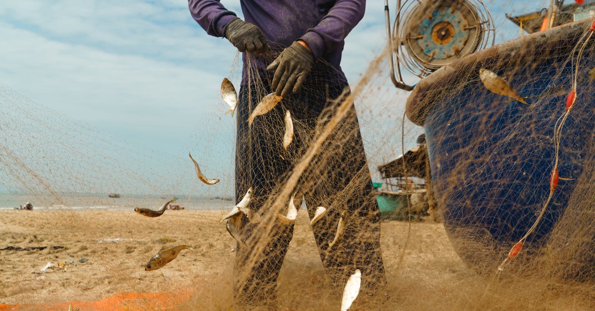 a fisherman removes fish from a net on vung tau beach showcasing traditional vietnamese coastal life