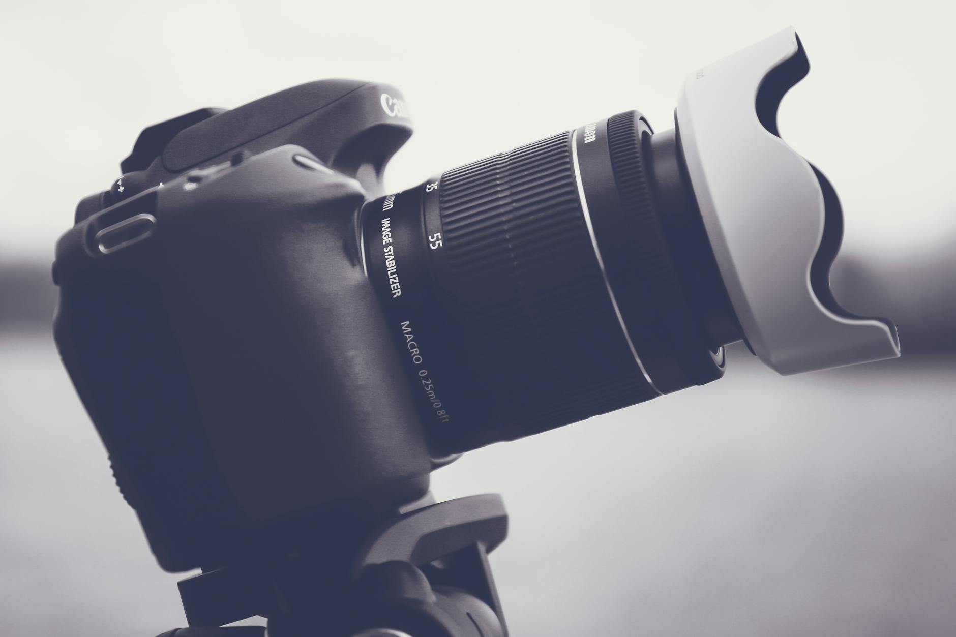 detailed shot of a dslr camera with a lens hood focused on photography equipment details