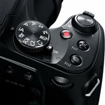 81NN88YWGoL._AC_SL1500_