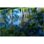 81QbxRO21pL._AC_SL1500_