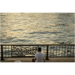 71E82TWx5rL._AC_SL1500_