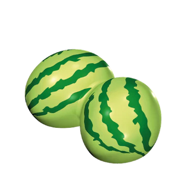 melons playmobil 30627417