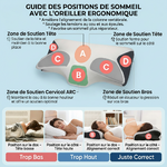 Infographie produit e-commerce professionnelle sur fond bleu clair dégradé _ guide des positions de sommeil avec loreiller ergonomique. En haut, texte en français expliquant les bénéfices. Diagramme central avec