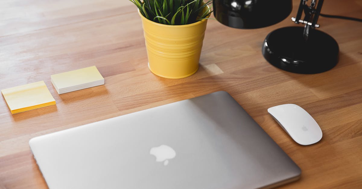 a sleek workspace featuring a laptop plant and desk lamp on a wooden table