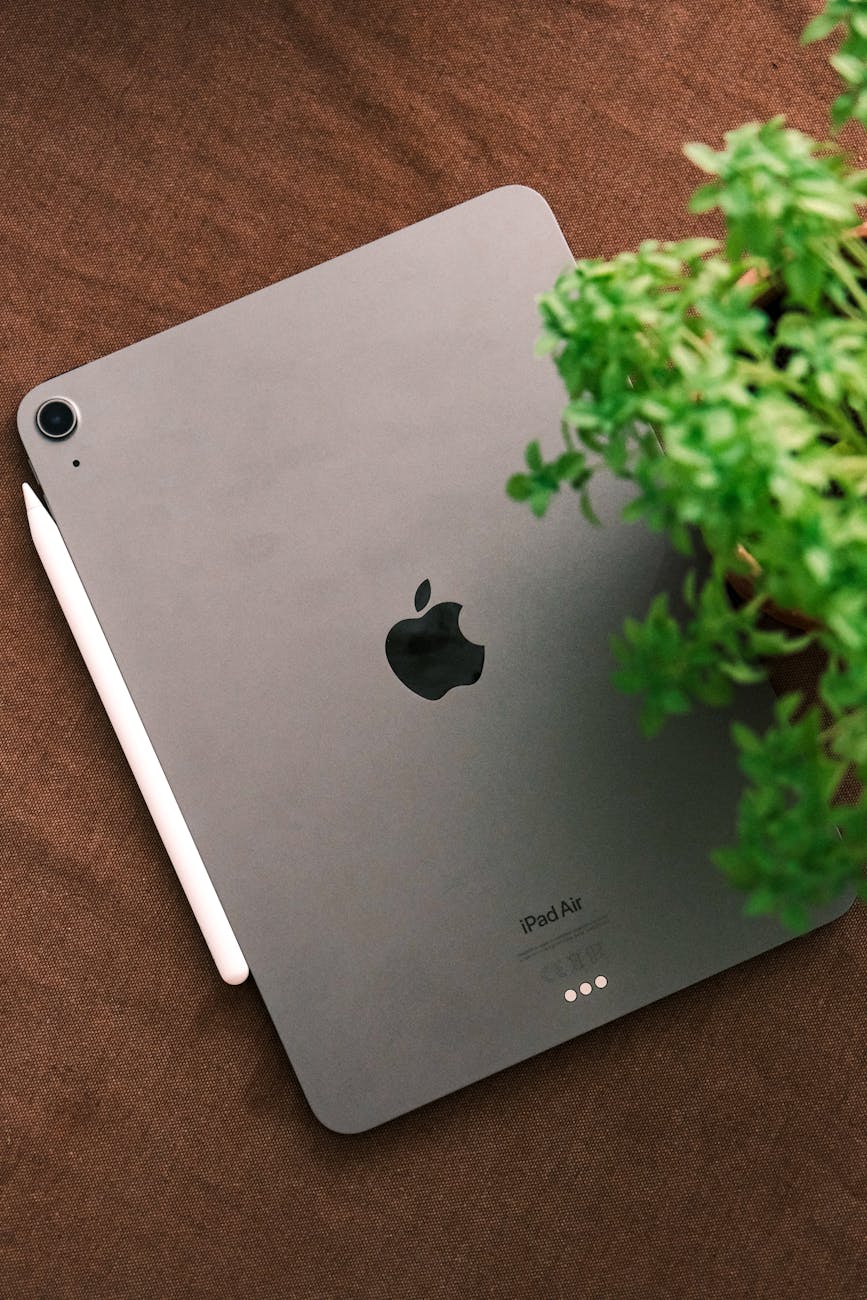 top view of a sleek tablet and stylus on a brown surface beside a green plant