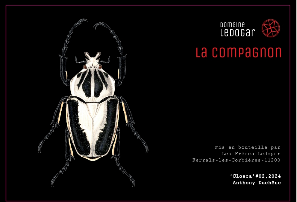 etiquette compagnon