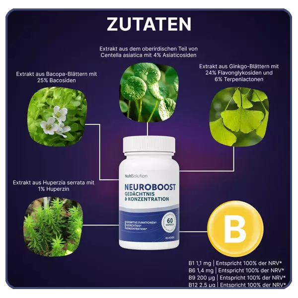 Neuro Boost Vorteile