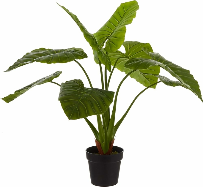 fausse-plante-camera-espion