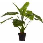 fausse-plante-camera-espion