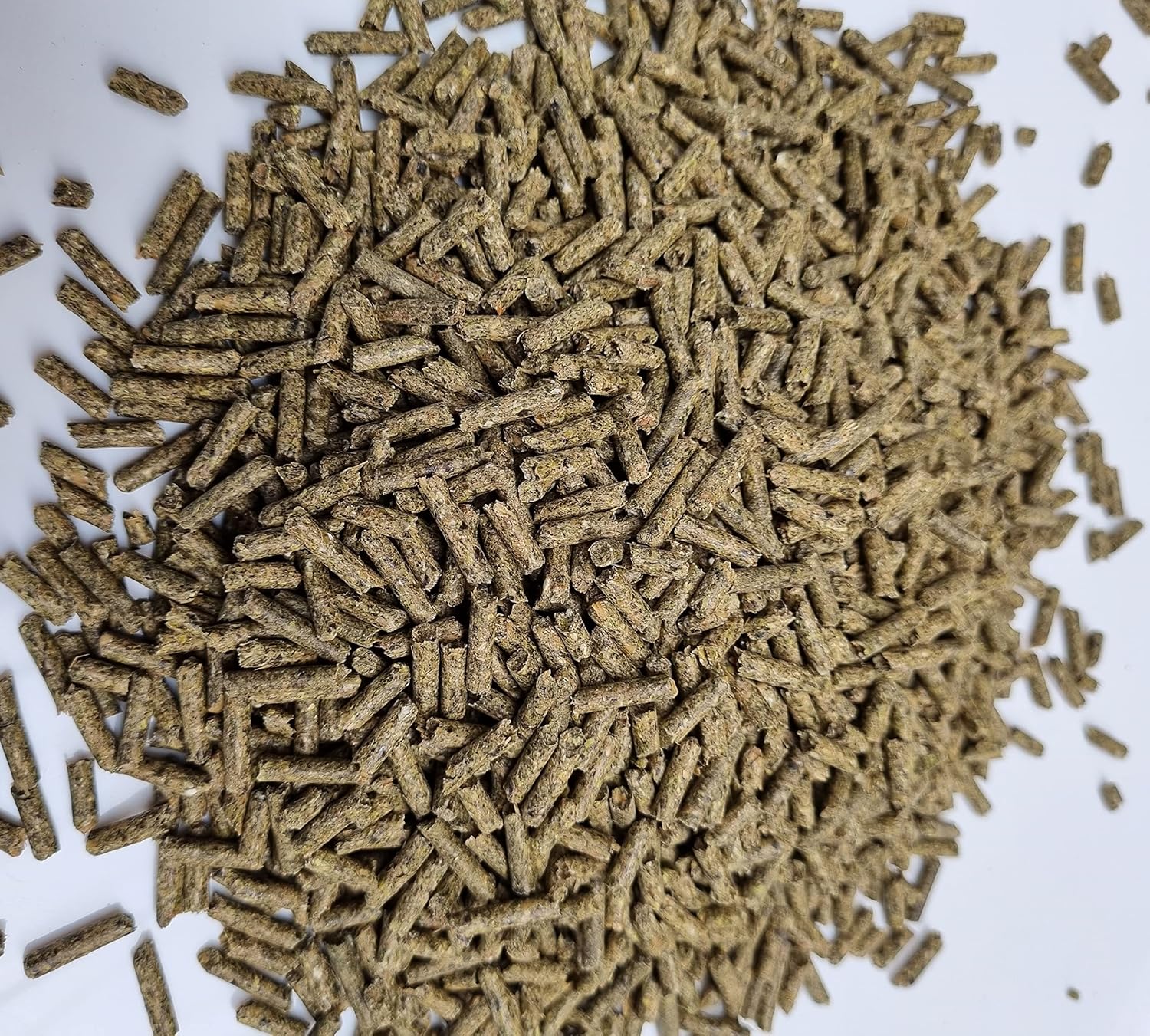 91aespBNQ2L._AC_SL1500_