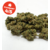 amnesia 4