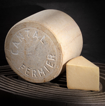 cantal Jeune fermier AOP
