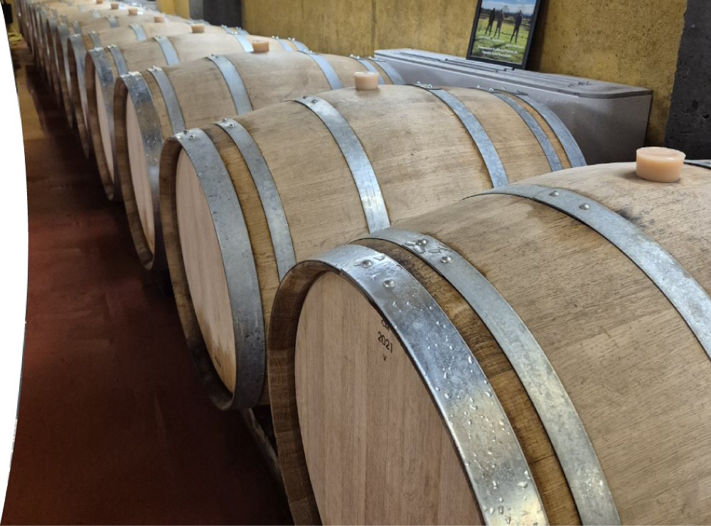 le plateau dauvergne bieres