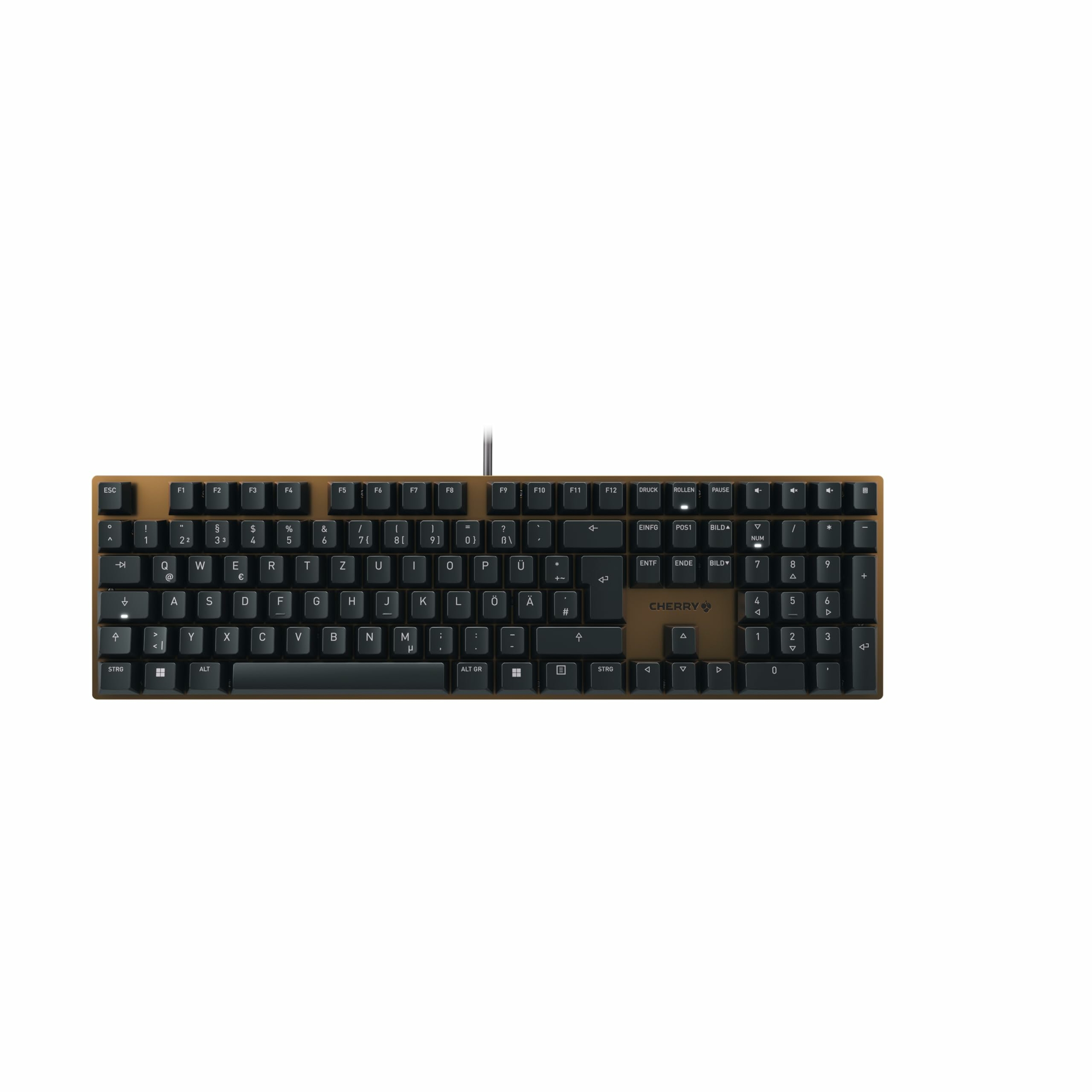 61QKbwou8gL