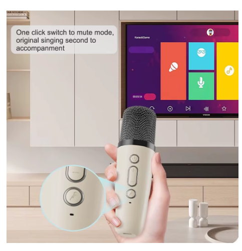 Microphone karaoké 25