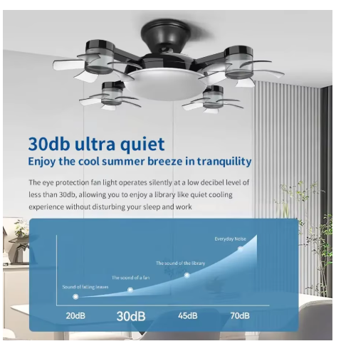 ventilateur plafond NOIR 01