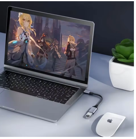 adaptateur usb-c vers usb ordi 02
