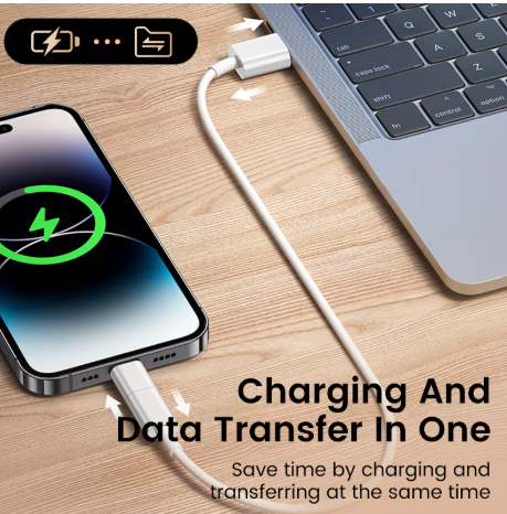 adaptateur usb c vers lightning 005