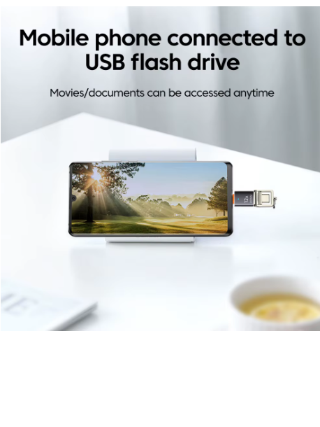 adaptateur USB C vers USB téléphone 01