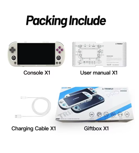 consoles de jeux portable GRIS 001