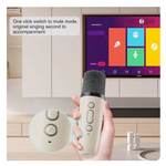 Microphone karaoké 25
