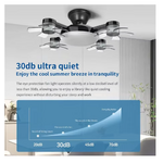 ventilateur plafond NOIR 01