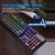 S6286e99bee1c4eaf9f82212f49a5f1ade