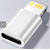 adaptateur usb c lightning gris blanc 01