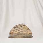 cloche1