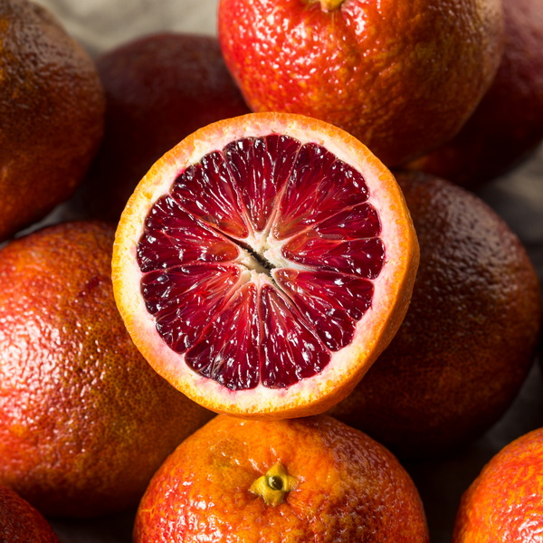 Citrus sinensis Sanguinea (1)